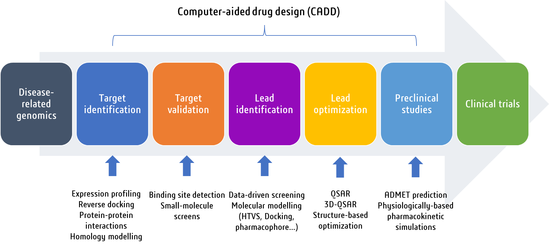 Figure 1. An overview of the main steps involved in the drug discovery process.