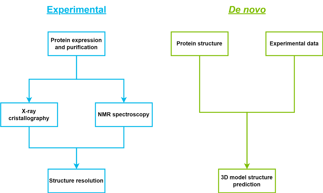 Figure 13. Methods to obtain the 3D structure of a biological target: experimental approaches (X-ray crystallography, NMR) and de novo methods (homology modelling, AlphaFold).