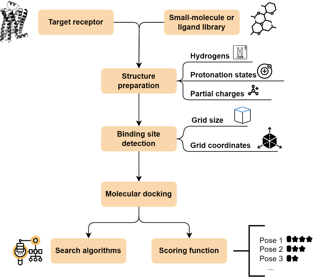 Figure 15. Flowchart of a molecular docking experiment.
