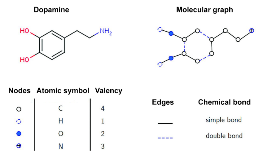 Figure 3. Dopamine and its molecular graph: different node types according to atomic elements and different edge types depending on the chemical bond [13].
