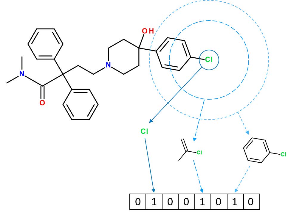 Figure 8. Generating an ECFP molecular fingerprint. The maximum allowed diameter is 4; successive circles have diameters of 0, 2 and 4. The presence of the obtained substructures is stored in a bit vector of length 8 [23].