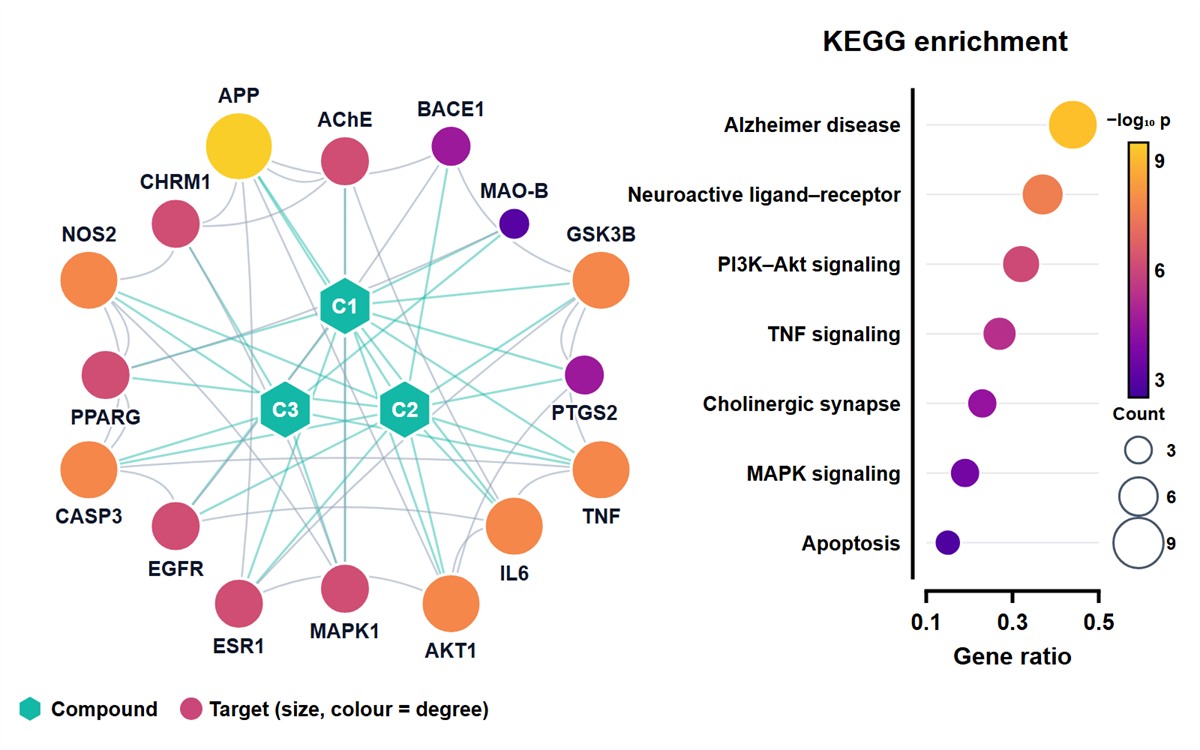 Example compound–target network coloured by degree, with a KEGG pathway enrichment bubble plot
